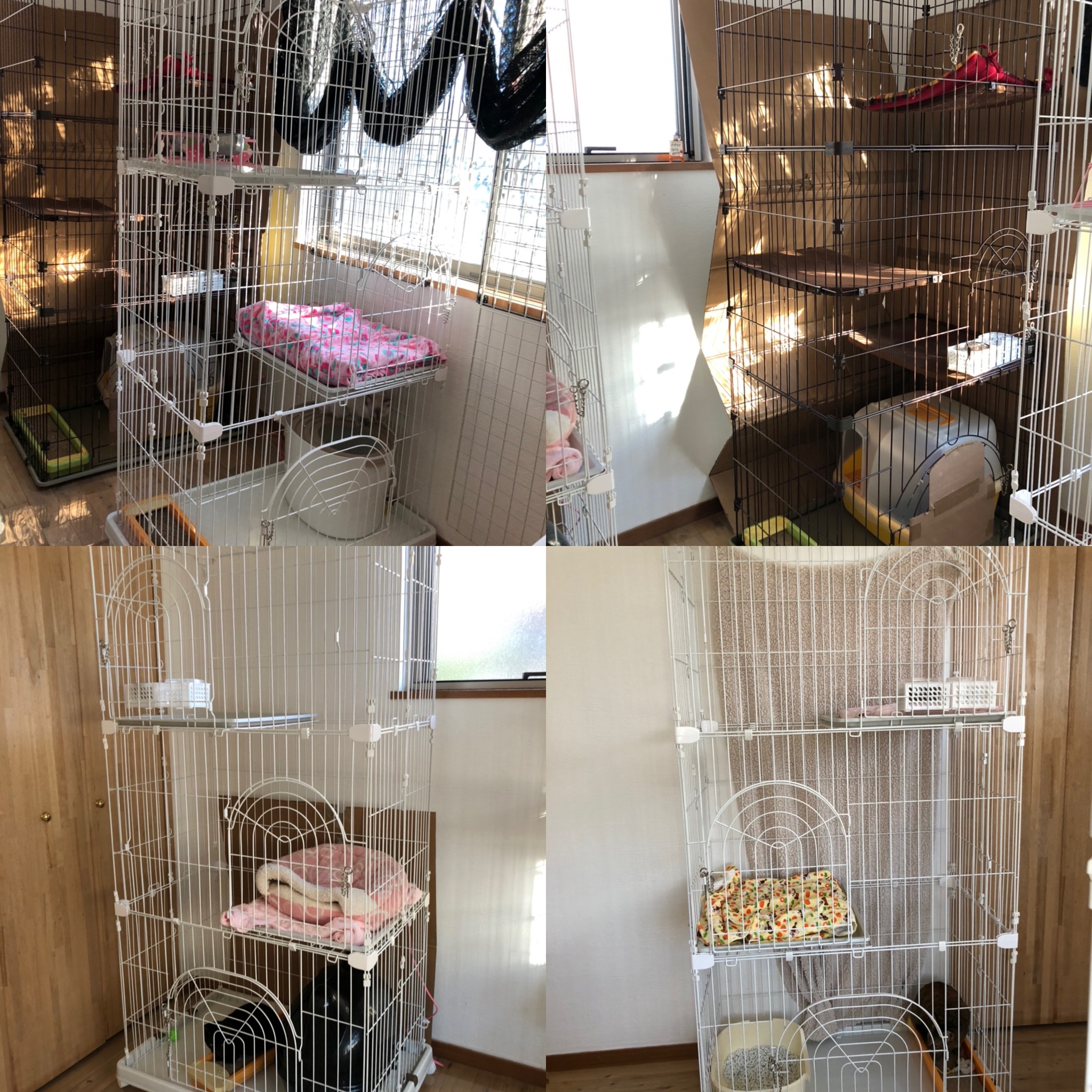 20191105完成間近の保護猫部屋