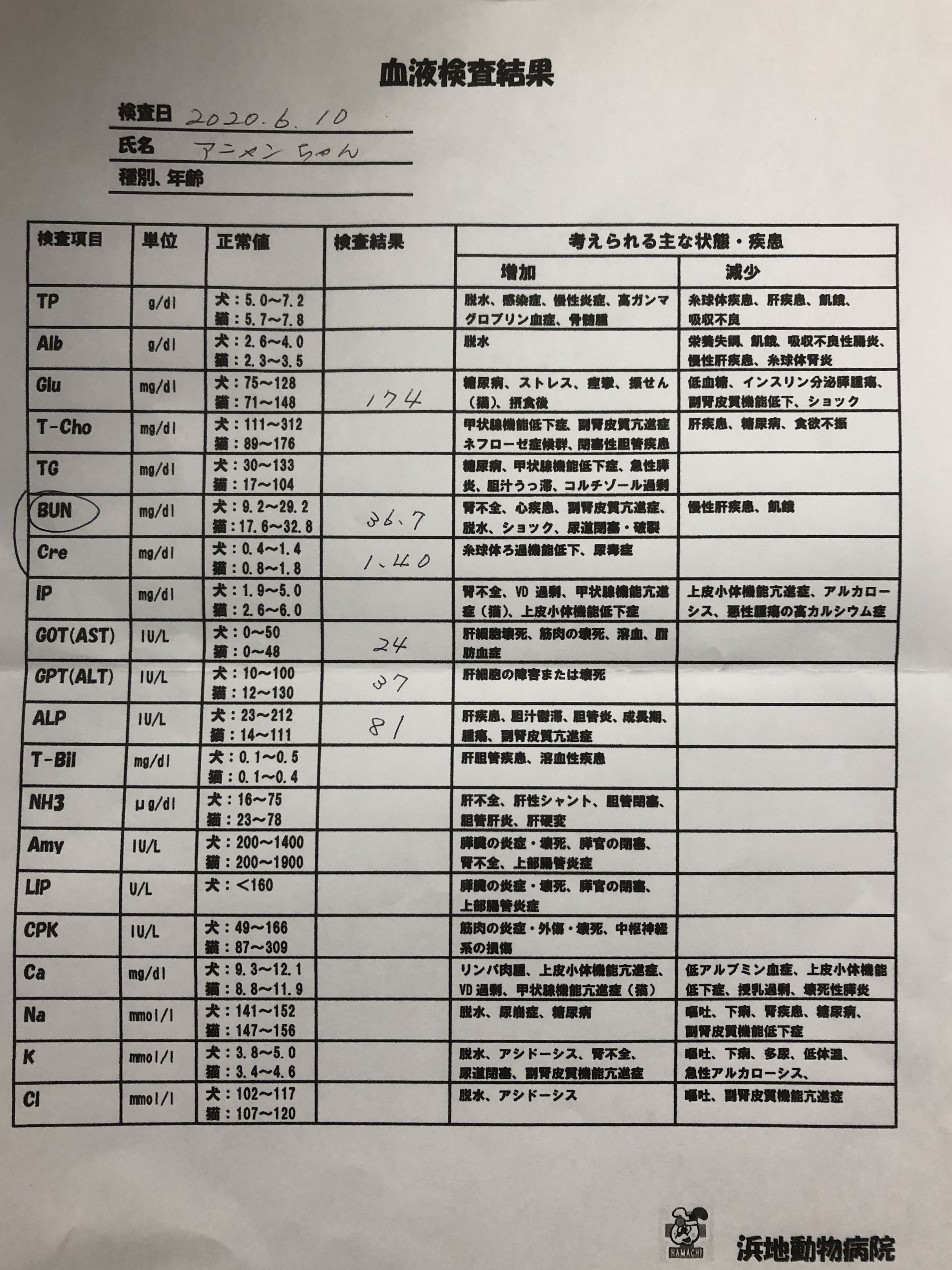 20200610アニャン通院記録